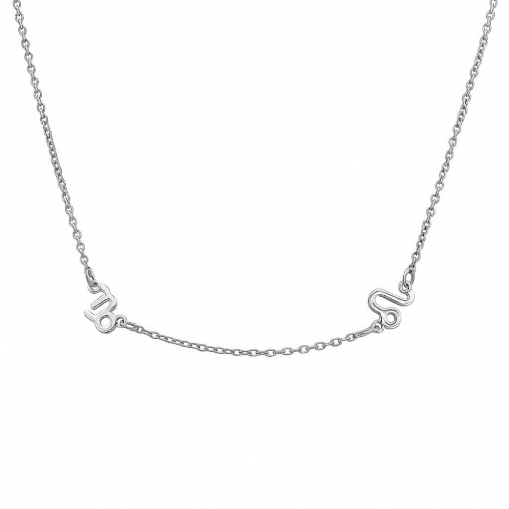 Two Zodiac Signs Necklace